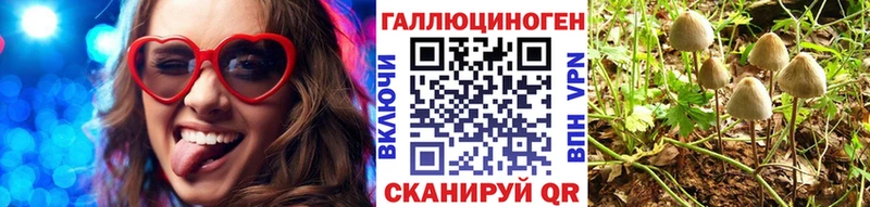 закладки Артёмовск Псилоцибиновые грибы ЛСД